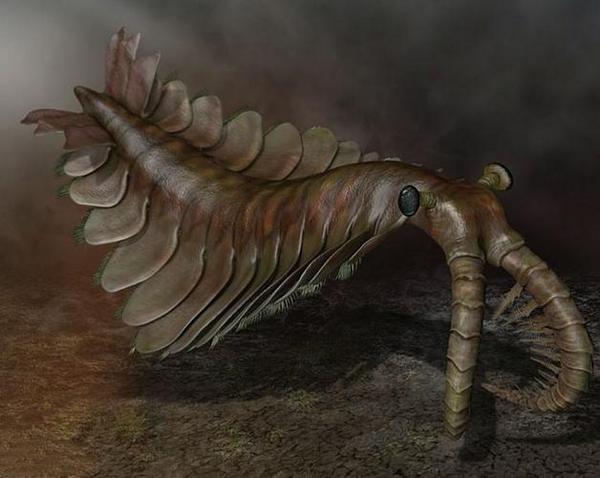 地球史前三大海洋霸主,第一被饿死终灭绝,第二