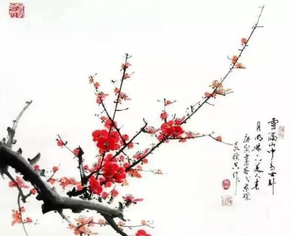 国画技法丨梅花画法大全