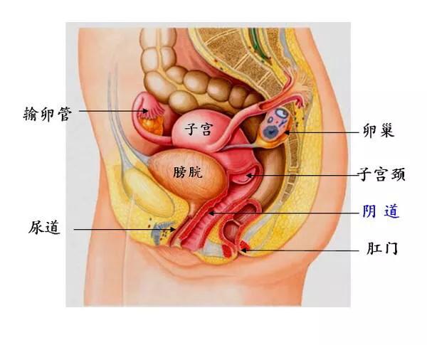 妇科炎症在女性中是普遍存在的吗?
