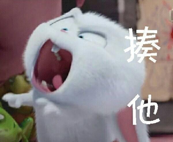 爱宠大机密 赵丽颖同款兔子表情包和高清图