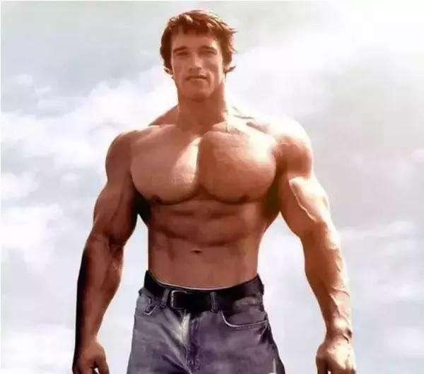 好莱坞5大硬汉,施瓦辛格火遍全球,有一位是由于李小龙爱上武术