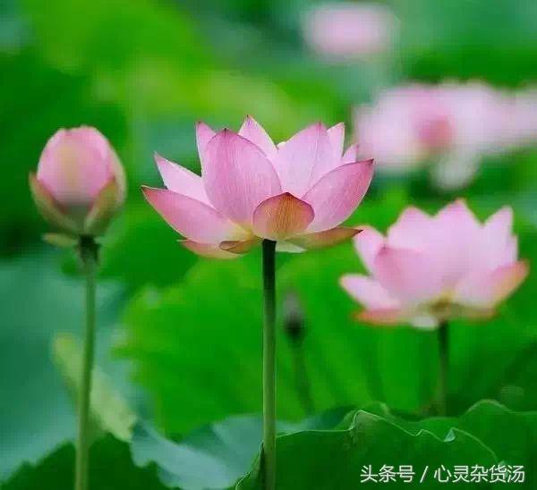 修身养性好文章