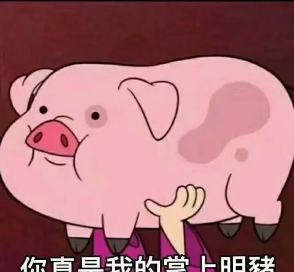 一个充满猪叫的表情包合集