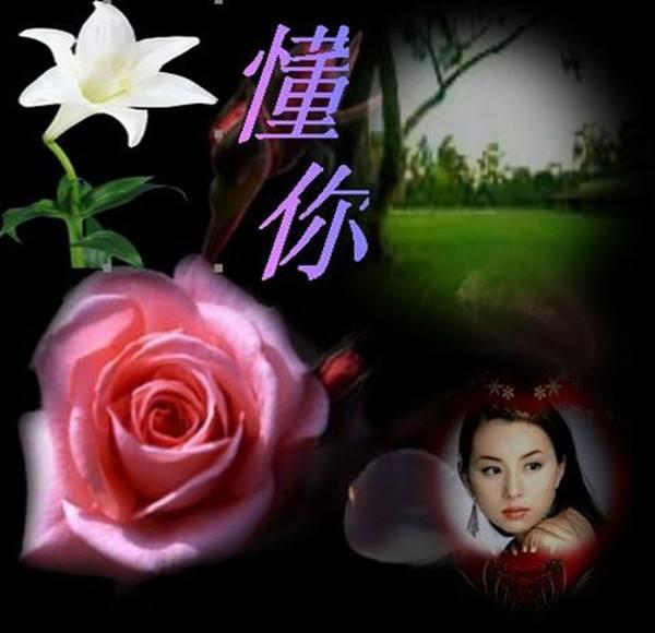 找一个懂你的人,幸福过一生!
