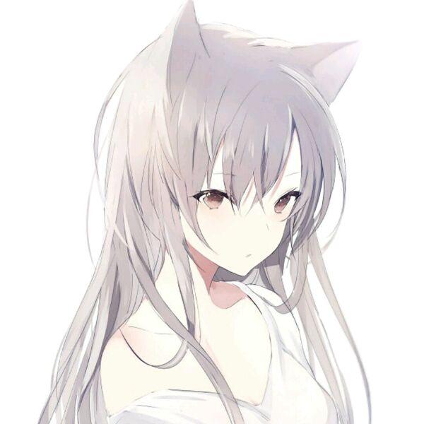 想做你的怀中猫意中人,猫耳动漫女生头像