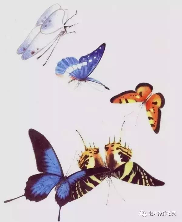 赏心悦目!1000只高清工笔蝴蝶,画蝶三剑客惊艳国人!