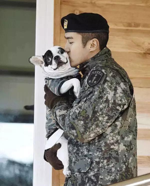 崔始源的法斗咬伤邻居致死，牵个绳就这么难?艺人的狗狗更要注意