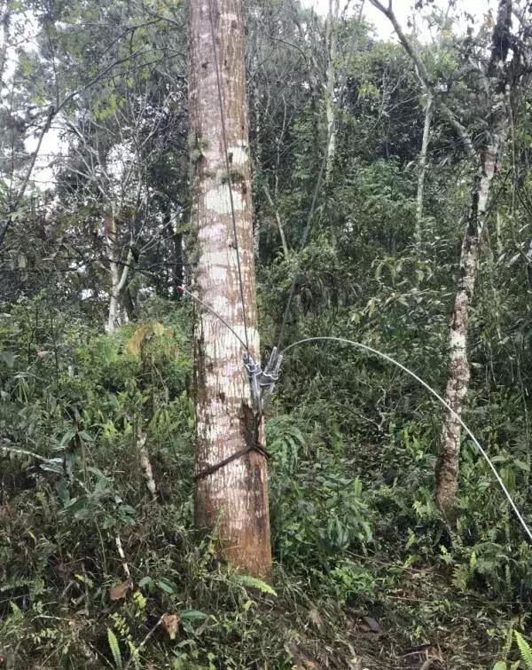 云南文山麻栗坡县一在建高压输电线塔发生坍塌