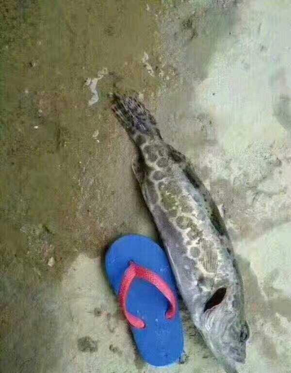 你在淘宝上买过什么奇葩的东西?