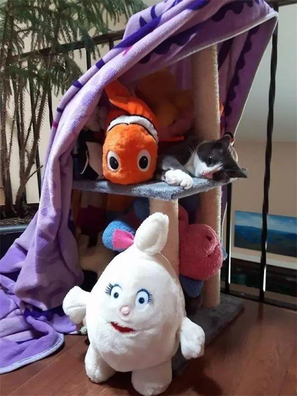 寵物們和小孩單獨在一起的下場就是……