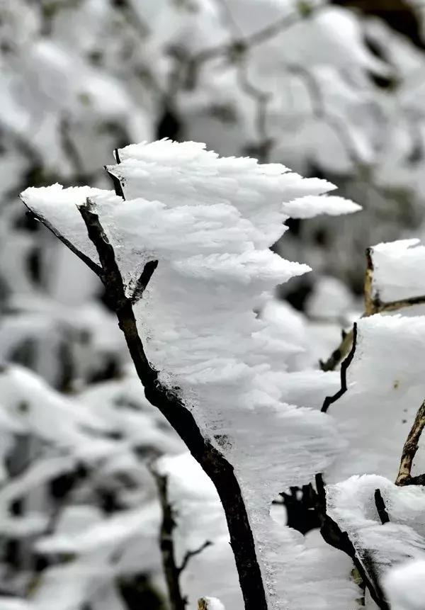 宁化牙梳山冰凌,雾凇雪景!美翻你的朋友圈