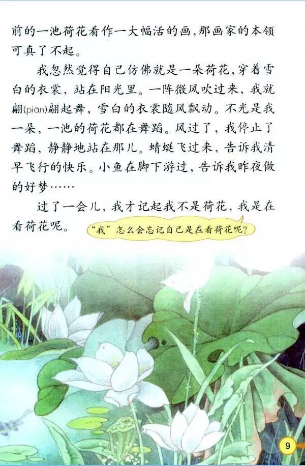 小学语文人教版三年级下第三课《荷花》学案