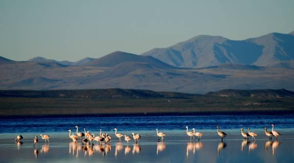 世界上距离中国最远的国家是阿根廷!