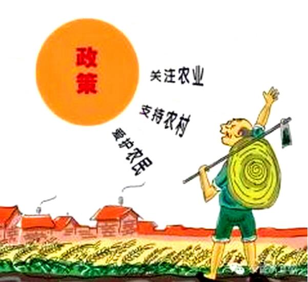 2018农村新政策出台,有九项补贴可以拿到手,这些你清楚吗?