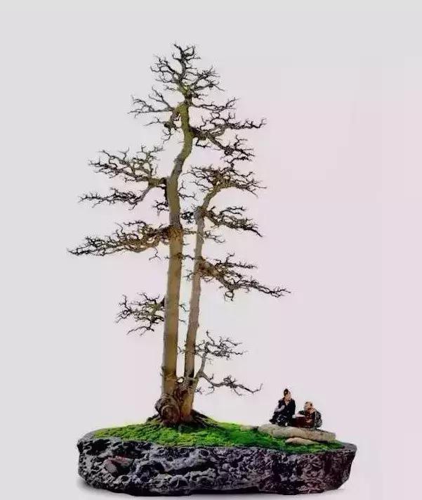 一高一矮, 相互衬托, 动静有致, 妙不可言, 双杆式盆景精品欣赏