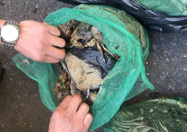 发现路边上竟然有人卖死螃蟹,里面还装了黄沙