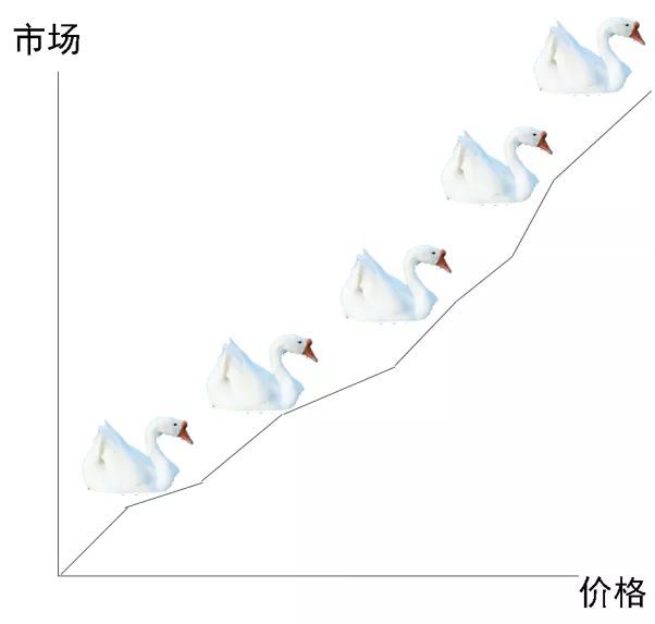 2018,养鹅成本利润分析,仅供参考!
