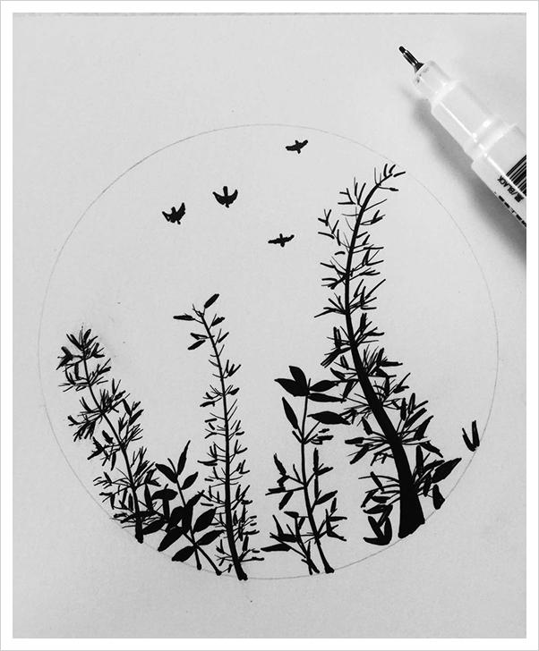 零基础、超极简单、一看就会画的钢笔画--竹尖上的鸟