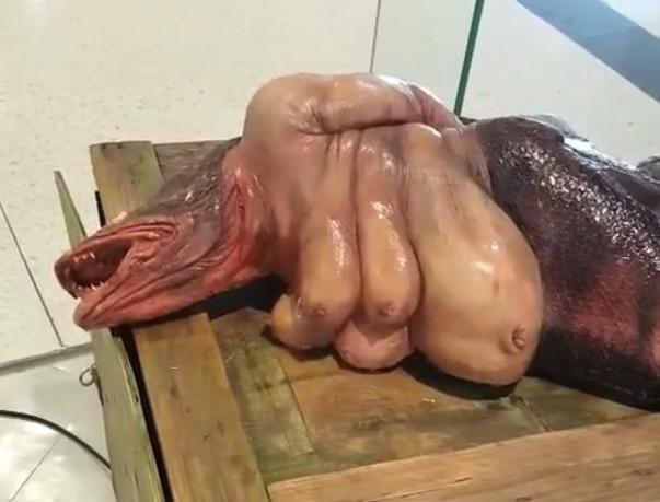 最近这个怪物视频疯传, 而美人鱼是否真的存在呢