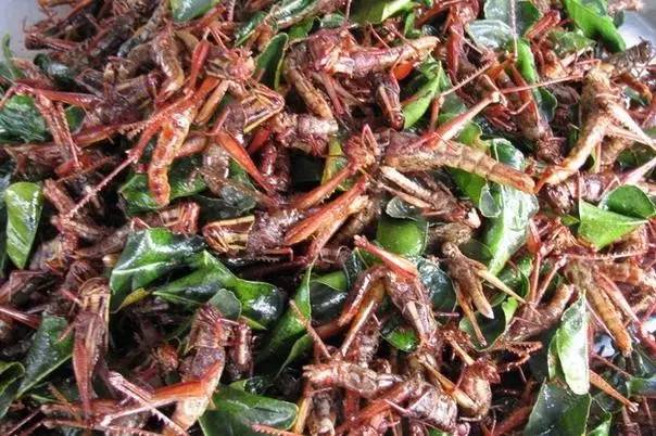 被全球公认最恶心的食物,云南美食竟然榜上有