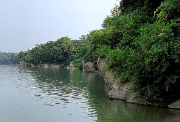 此鱼头尖嘴大，体侧有花斑，被誉为我国“四大淡水名鱼”
