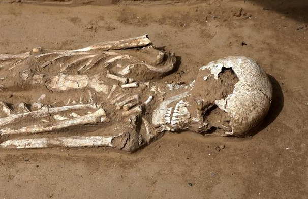 小流浪者带客死他乡的陌生人尸骨,安葬回故乡,从此后财运滚滚