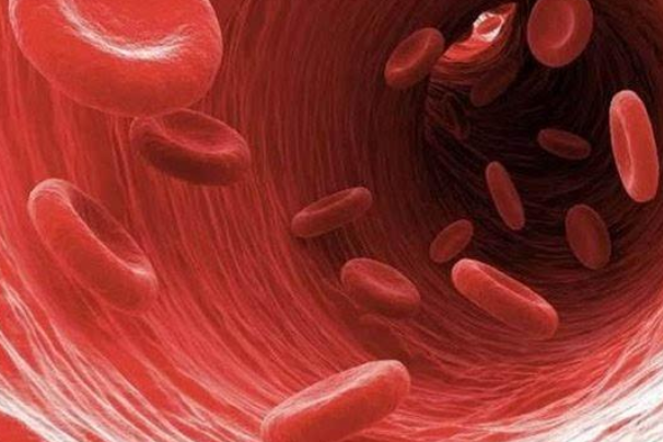 如何通过饮食降低甘油三酯?