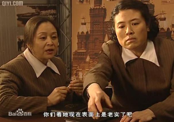 有人看过《家有九凤》这部电视剧吗?