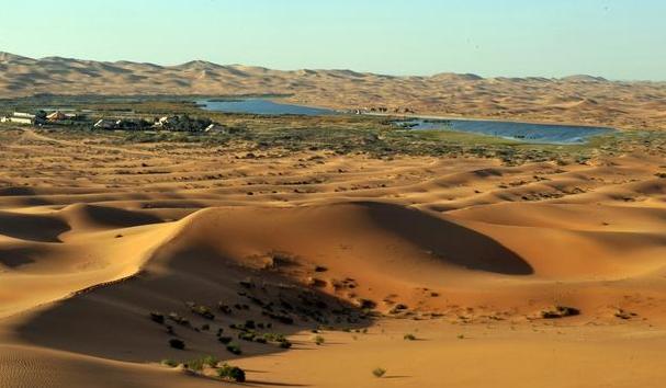 厉害了我的国!沙漠变绿洲,你的蚂蚁森林几棵树