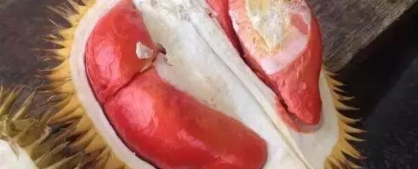 史上最全榴莲品种产地分类大全
