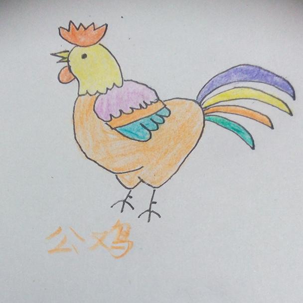 给公鸡上色