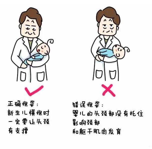 最后就是到宝宝1岁左右了,开始蹒跚学步了,脊柱才会形成第三个弯曲—