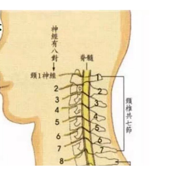 颈椎痛按哪个部位可以缓解颈椎痛应该按哪里