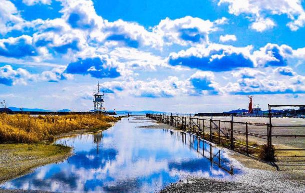真正爱你的人,不是一下子就把你感动晕,而是细水长流的把你宠坏