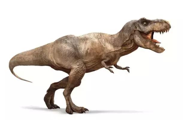 十大肉食恐龙排行榜 第一犹如真实版的"哥斯拉"