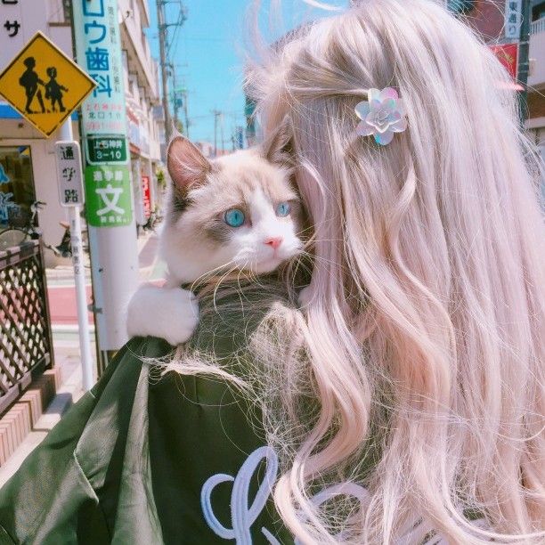 抱猫少女头像 仙女们抱走甩赞