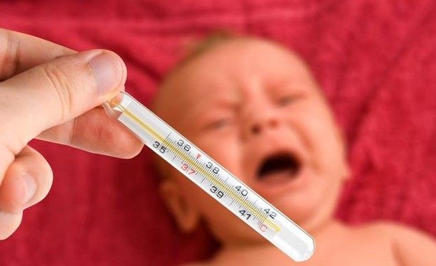 八个月宝宝感冒发烧到39.5度,爸妈该怎么办