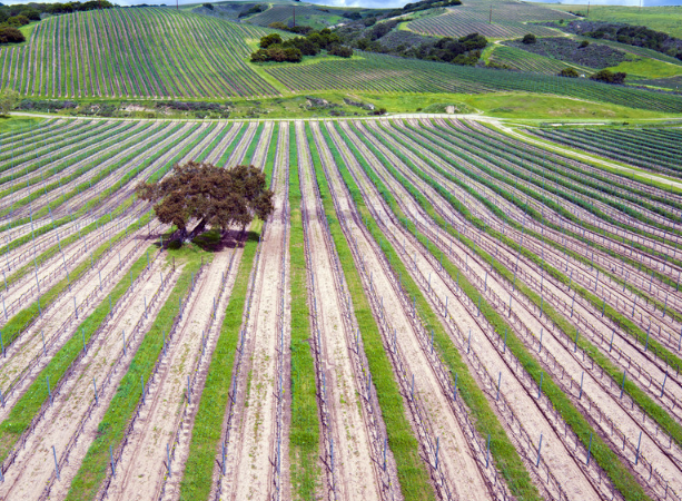 看看什么叫别人家的无人机拍摄简直美翻了