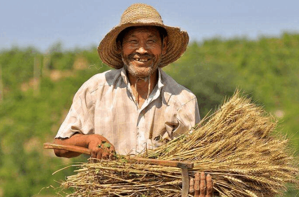 今年开始, 有这些特点的农村合作社, 统统要被国