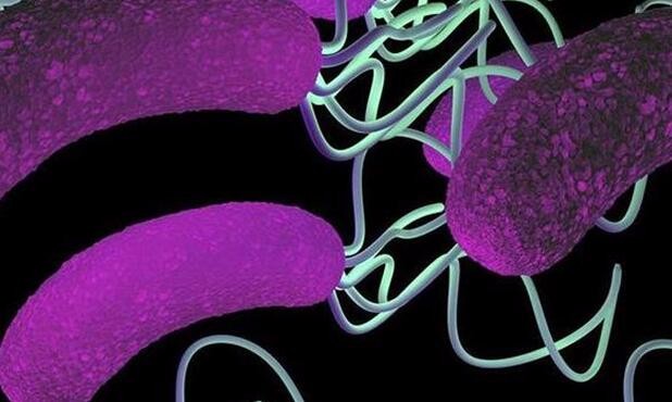 共用餐具,接吻以及体液接触是不是都有可能传