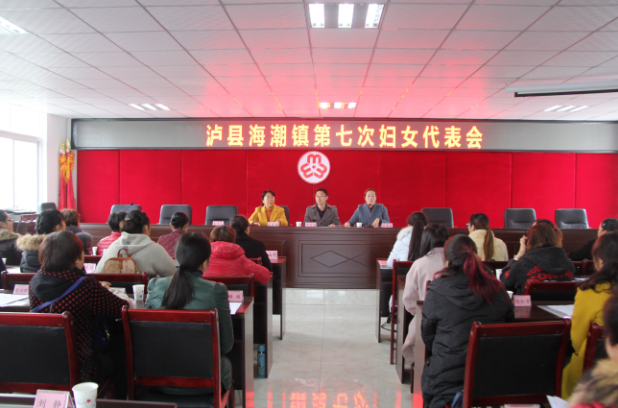 四川泸县海潮镇圆满完成妇联换届选举工作