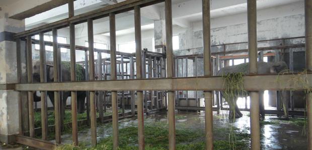 西安曾经最繁华的地方,现在竟然破败成了这样