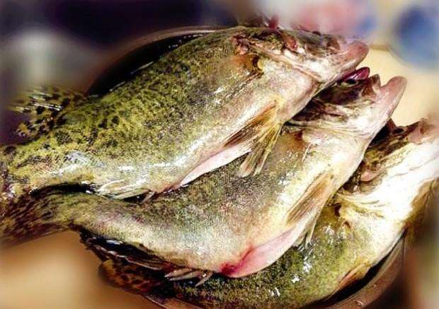 腐烂的非物质文化遗产: 安徽臭鳜鱼!