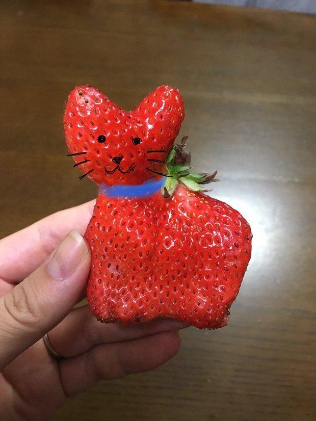 总觉得草莓形状怪怪,画上图后原来是猫草莓阿,网友也