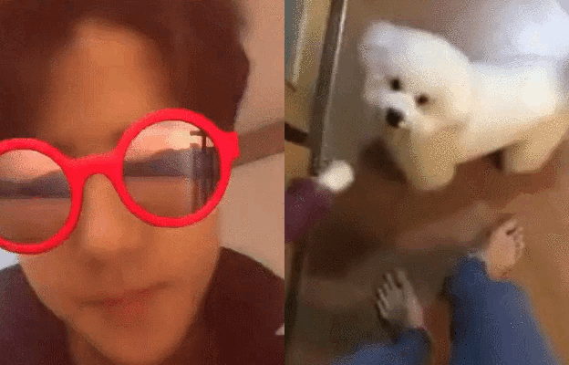 吴世勋真的是集搞怪可爱帅气于一身的男人,为吴世勋打