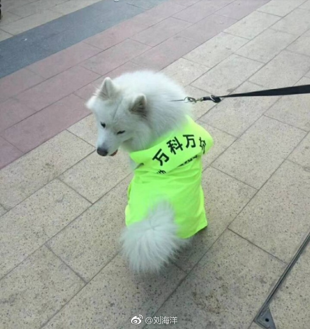 寒风中维权盼关注 西安万科幸福里坑人不浅