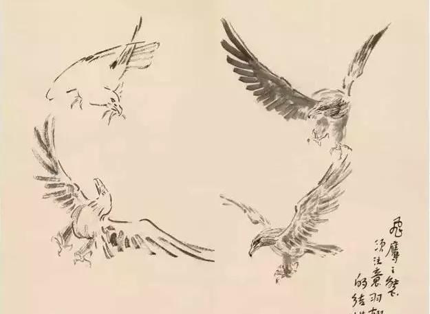 名家课徒稿：徐悲鸿禽鸟课徒稿
