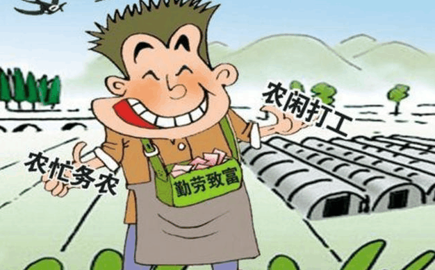 如果不打工了 农民工回农村后还能干什么?