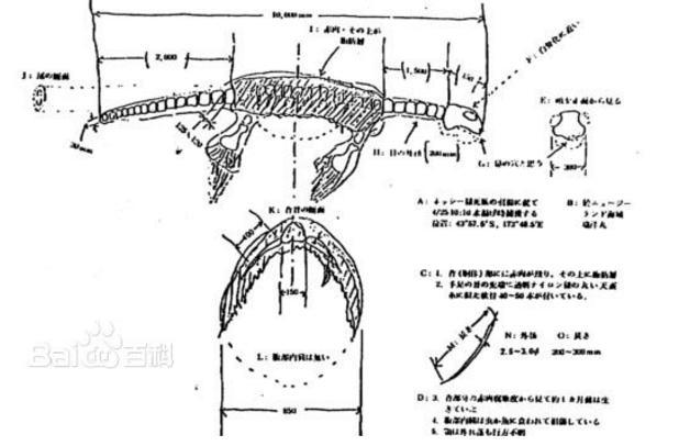 1977年日本打捞海怪事件全面解析 真相解开