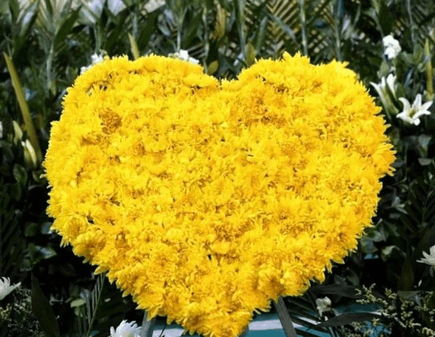 贵州坠机中多名战士牺牲, 国人悲痛不已